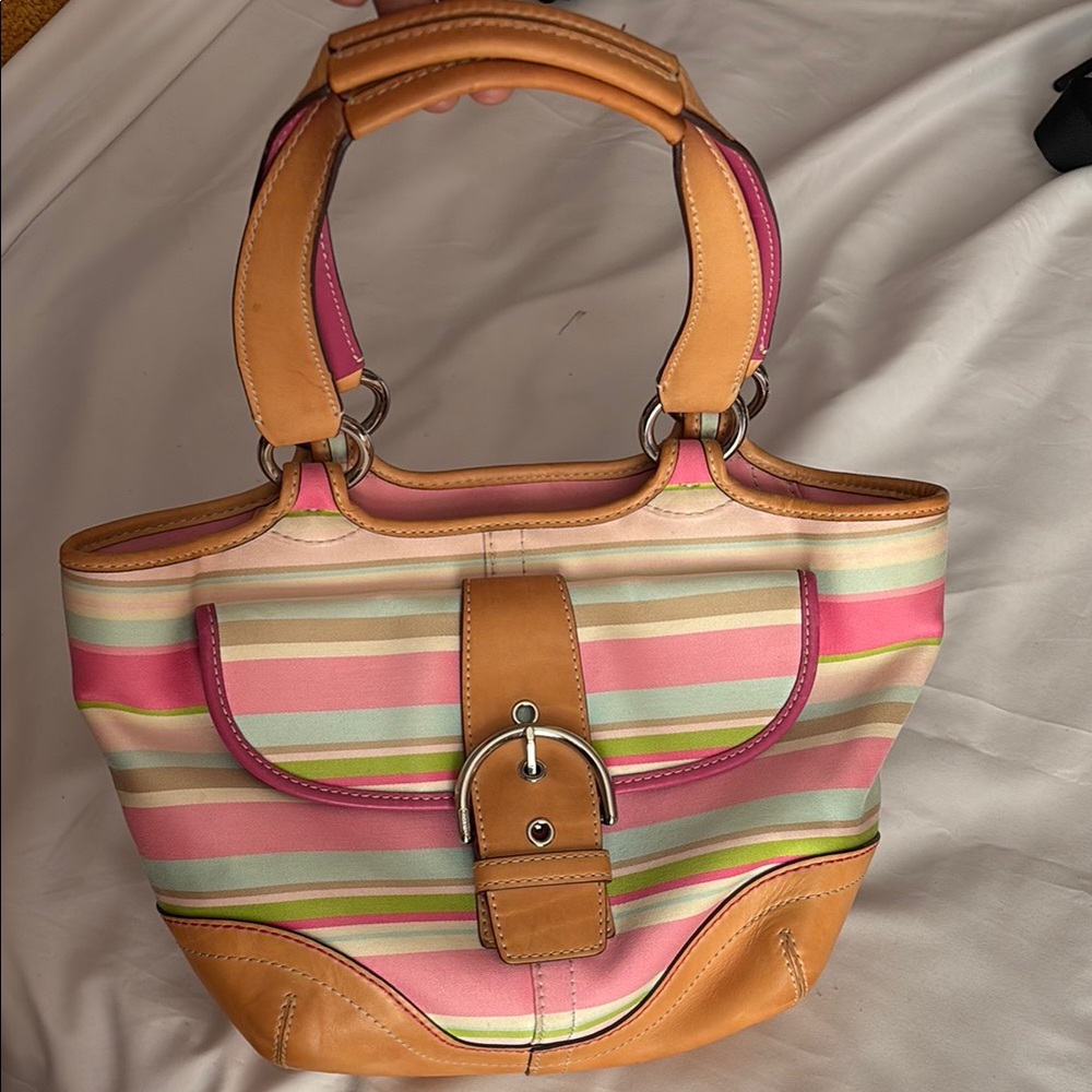 Coach Hampton Multicolored Stripe Daisy Satchel Shoulder Bag Tote